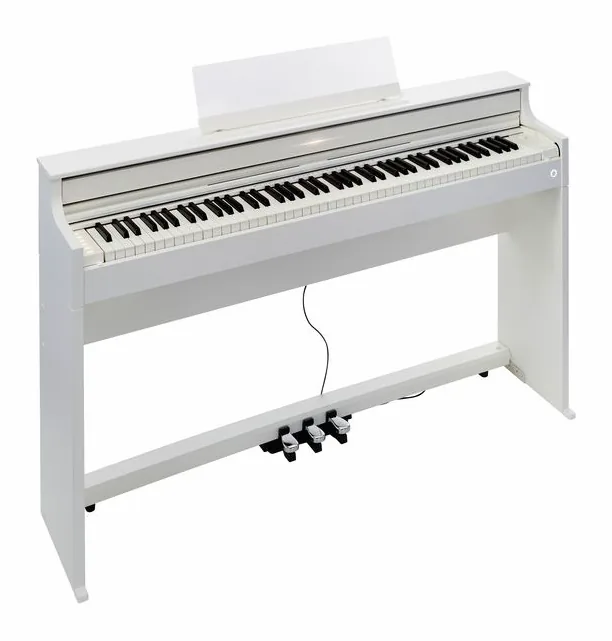 Casio AP-S450WE, achterzijde met aansluitingen, foto 3