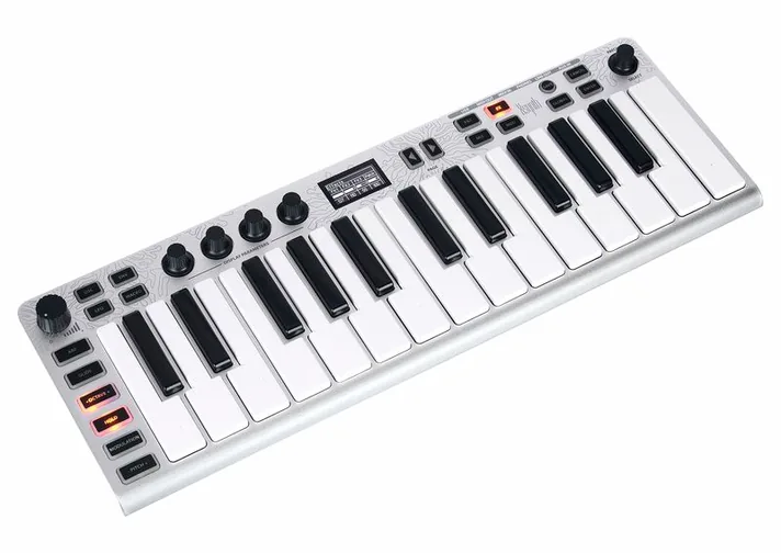 ESI XSynth, achterzijde met aansluitingen, foto 3