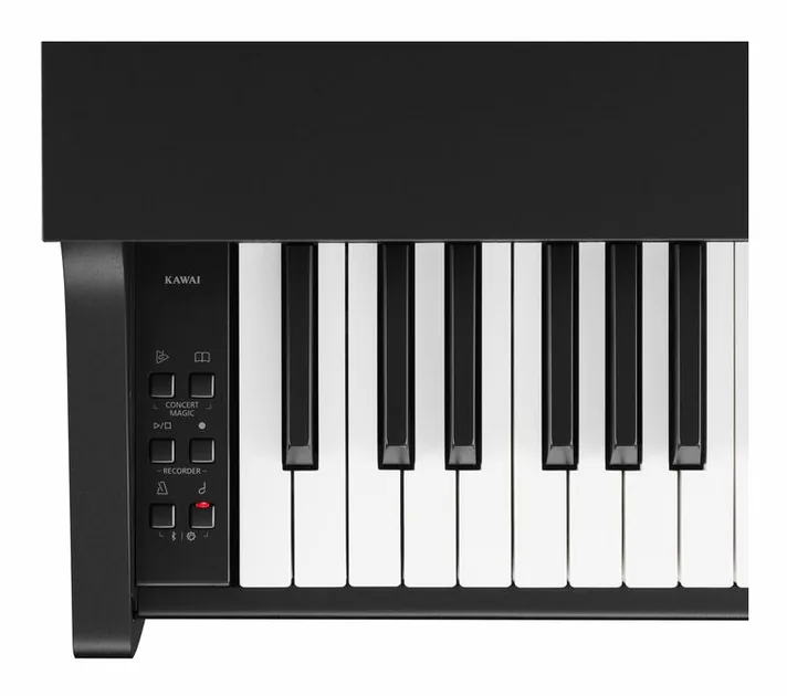 Kawai CX-102 B, achterzijde met aansluitingen, foto 4