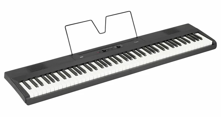 Korg Liano, achterzijde met aansluitingen, foto 2