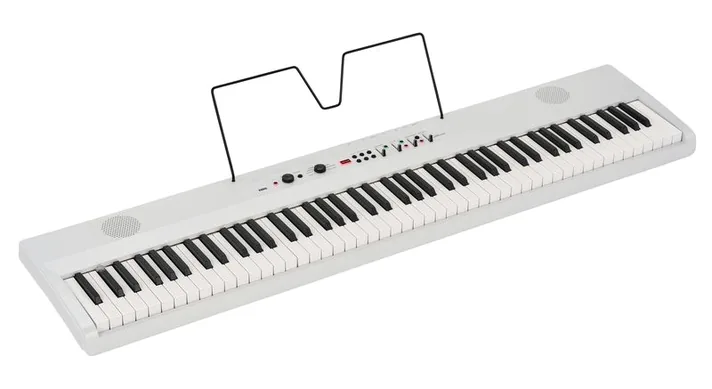 Korg Liano Live!, klavier en bedieningspaneel, foto 2