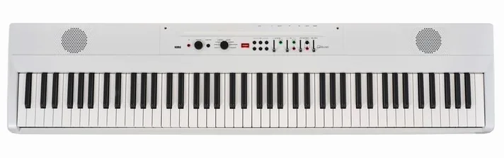 Korg Liano Live!, achterzijde met aansluitingen, foto 3