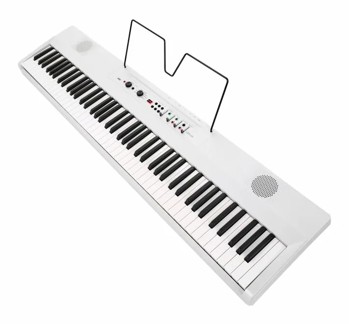 Korg Liano Live!, vooraanzicht, foto 4