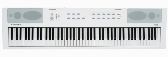 Kurzweil KaE1-WH, achterzijde met aansluitingen, foto 3