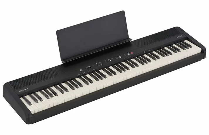 Roland FP-40 BK, achterzijde met aansluitingen, foto 3