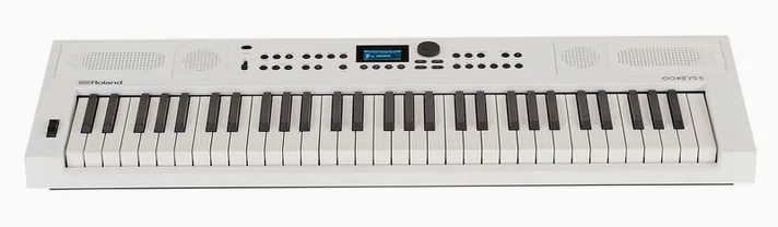 Roland GO:KEYS 5 WH, achterzijde met aansluitingen, foto 2