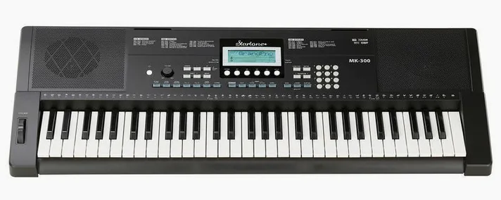 Startone MK-300, achterzijde met aansluitingen, foto 2