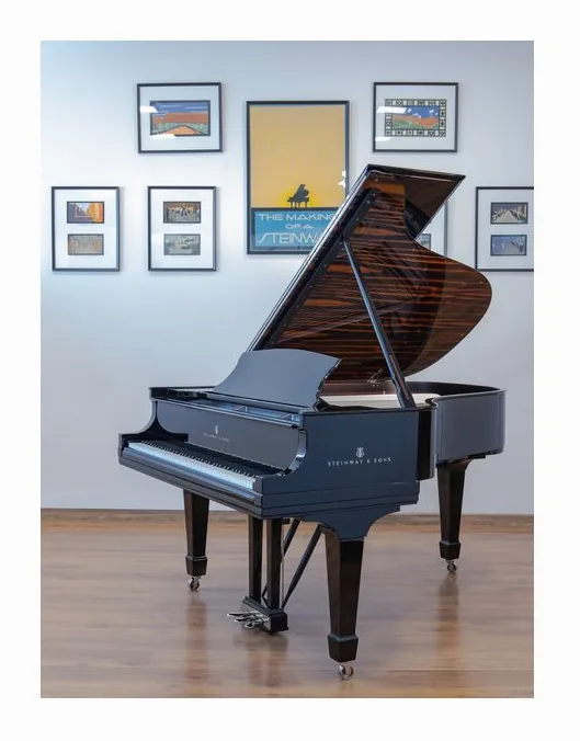 Steinway & Sons L Onyx Duet Grand Piano, schuin van boven, foto 3