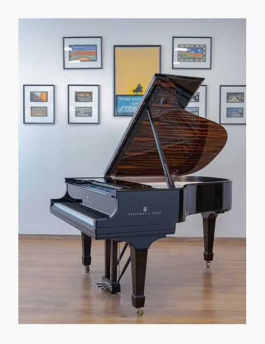 Steinway & Sons L Onyx Duet Grand Piano, klavier en lessenaar, foto 4