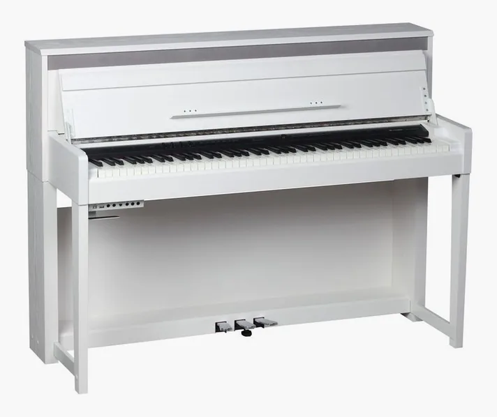 Thomann DP-140WH U, achterzijde met aansluitingen, foto 3