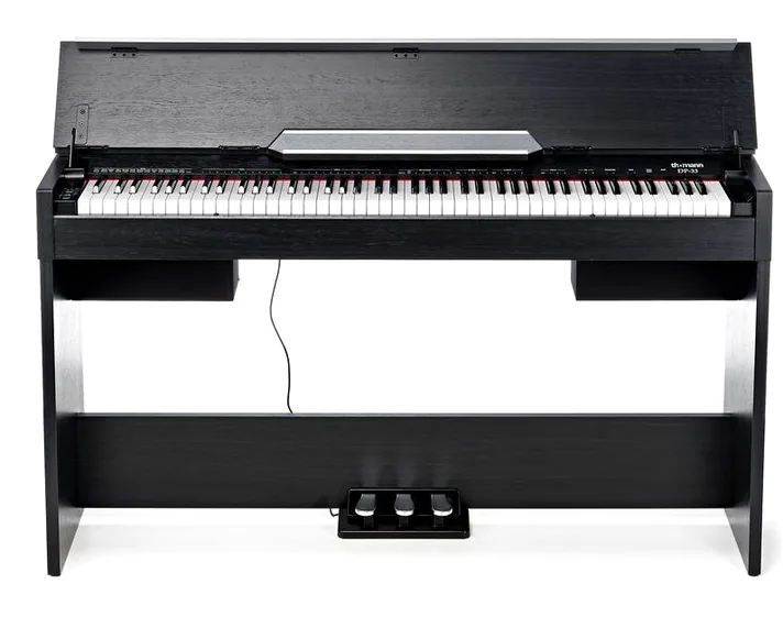 Thomann DP-33 B, achterzijde met aansluitingen, foto 3