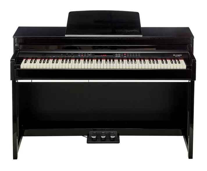 Thomann DP-51 BP, achterzijde met aansluitingen, foto 2