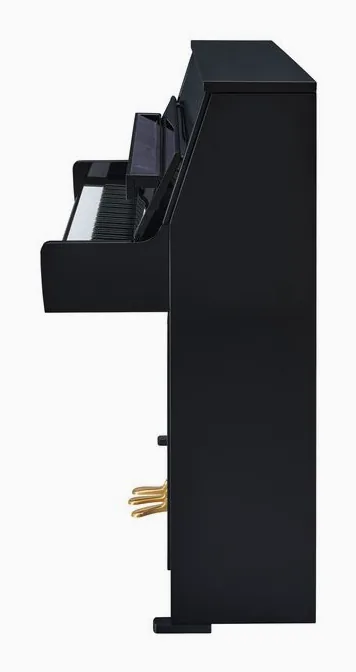 Yamaha B10 SC3 PE, detail van de afwerking, foto 2
