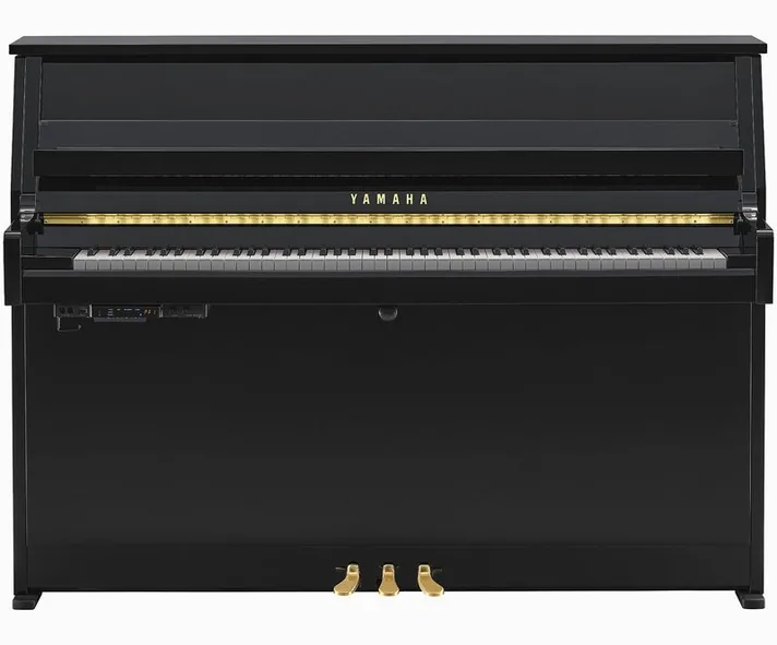 Yamaha B10 TC3 PE, schuin van boven, foto 2
