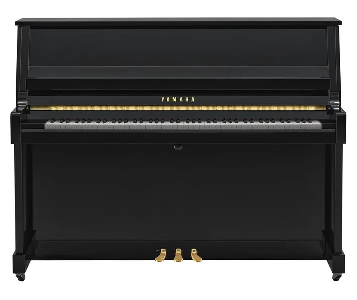 Yamaha B20 PE, kast en pedalen, foto 2