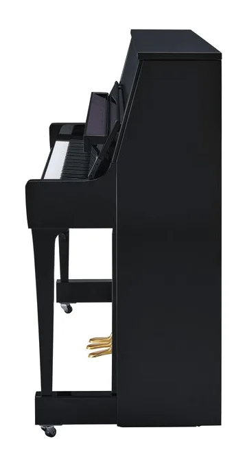 Yamaha B20 PE, kast en pedalen, foto 3