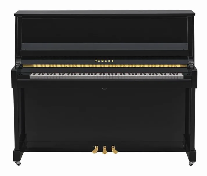 Yamaha B30 PE, vooraanzicht, foto 2