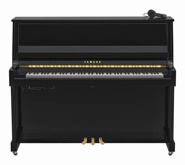 Yamaha B30 SC3 PE, zijaanzicht, foto 2