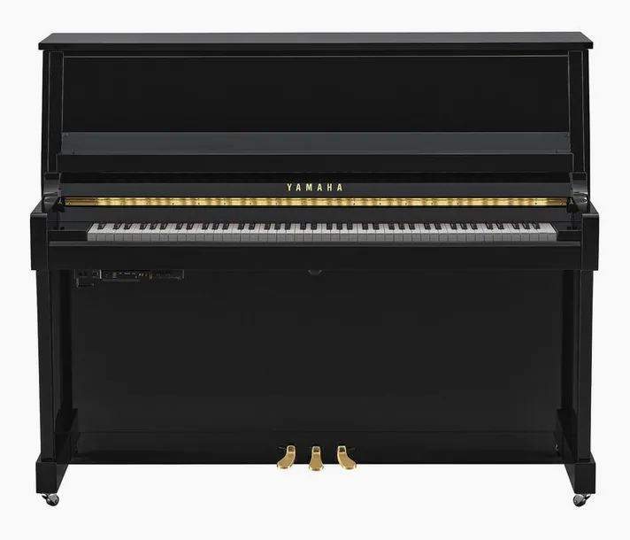 Yamaha B30 TC3 PE, zijaanzicht, foto 2