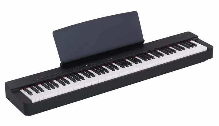 Yamaha P-225 B, zijaanzicht, foto 2