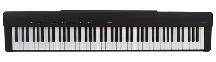 Yamaha P-225 B, achterzijde met aansluitingen, foto 3